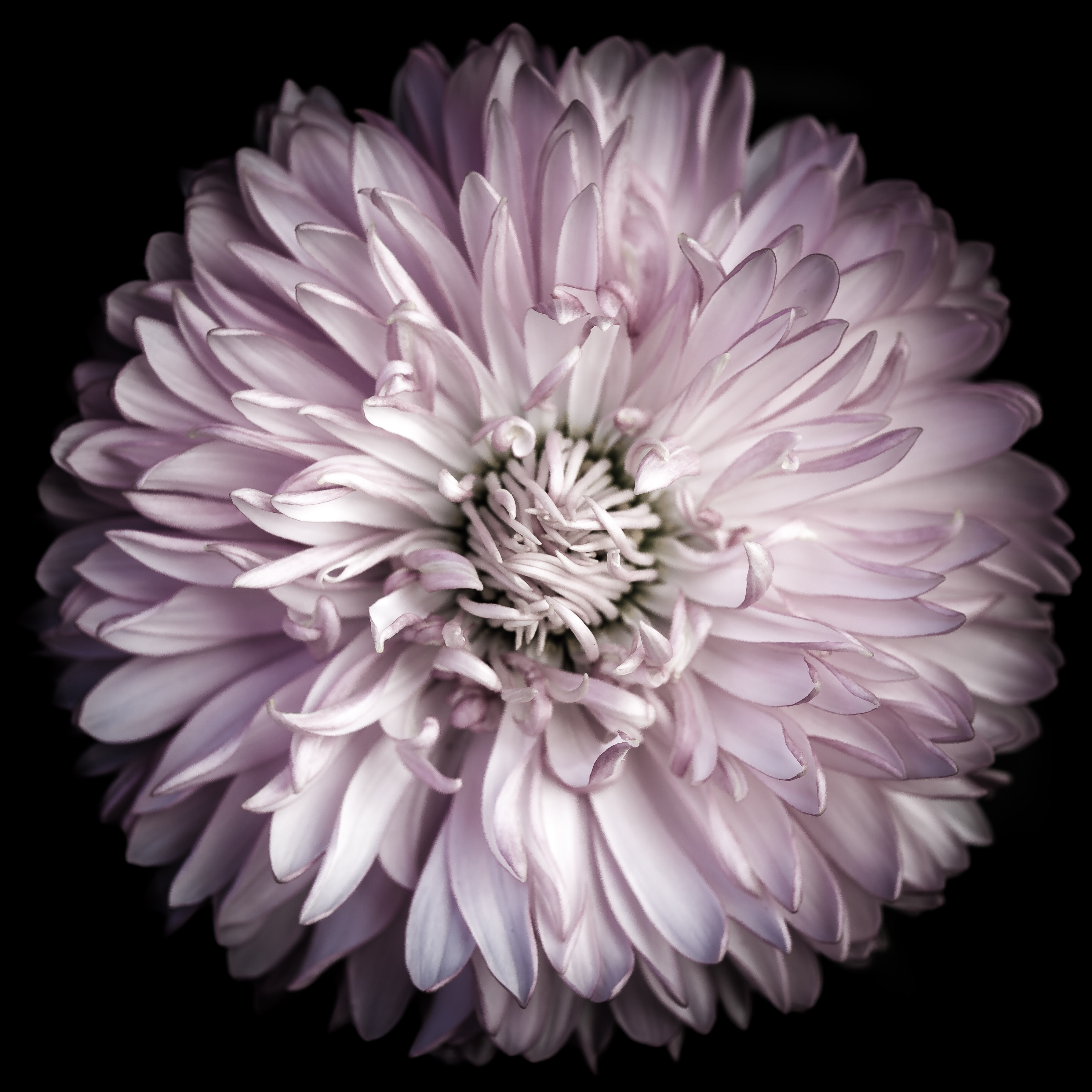 20170409 unbenannte Fotosession 025